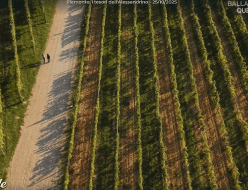 Linea Verde nell’alessandrino per le bellezze del territorio fra Vignole, Libarna, Novi e tanto altro