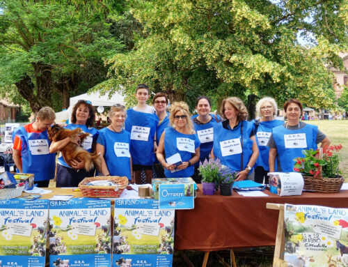 Gea Animal’s Land compie dieci anni e li festeggia con un calendario