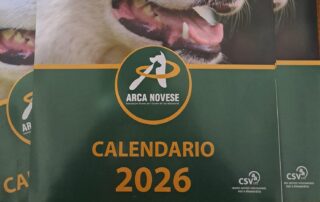 arca novese calendario 2026