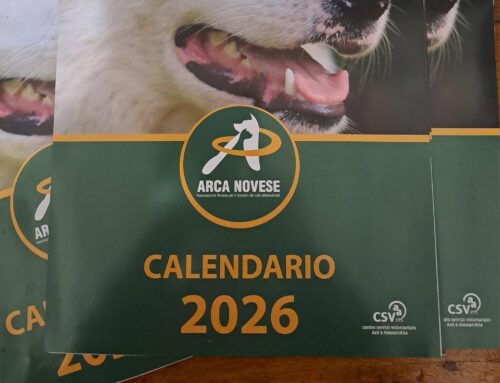 ARCA Novese: ecco il calendario 2026 per aiutare il canile