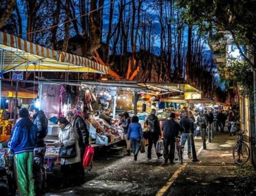 Fiera di Santa Caterina 2025: ecco il programma ufficiale a Novi