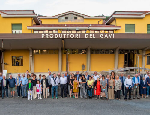 Dalla vendita del Gavi Docg una nuova risonanza per l’ospedale infantile di Alessandria