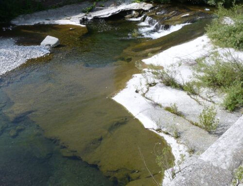Manutenzione corsi d’acqua: diversi interventi a Cabella, Stazzano, Basaluzzo e Grondona