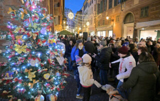 Albero volontariato novi