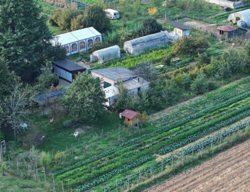 ‘La Rapa Bendata’: un progetto per restituire piante alla natura