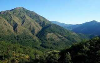 aree protette appennino piemontese