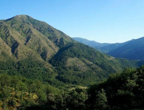 Aree Protette Appennino piemontese, l’allarme del Presidente: “Forte carenza di personale”