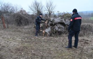 carabinieri novi spaccio droga boschi