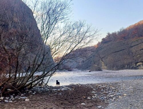 Il docufilm sulla Val Borbera degli studenti del Ciampini-Boccardo con Appennino Futuro Remoto
