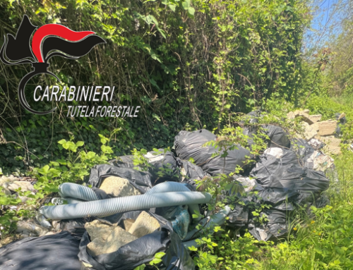 Cumuli di rifiuti abbandonati a Stazzano: i Carabinieri individuano i responsabili