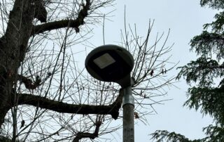 illuminazione pubblica novi