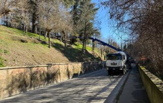 lavori parco castello