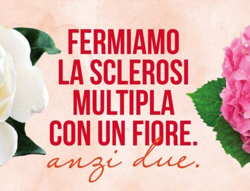 Lotta alla sclerosi: i volontari AISM a Novi dal 5 all’8 con la Gardensia