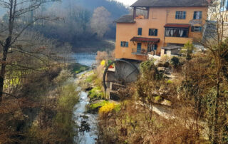 giornate-fai-primavera