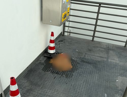 Movicentro, degrado e abbandono nel parcheggio sotterraneo: i novesi chiedono interventi