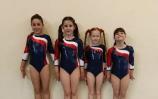 ginnastica serravallese