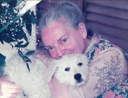 Lutto a Novi per Adele Pelloso Parodi, per tutti la “mamma di Hobbymoto”