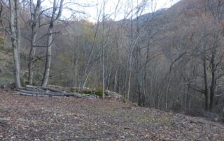 boschi val borbera strada camion