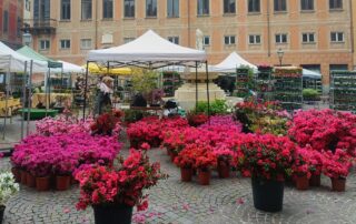 festa di primavera novi
