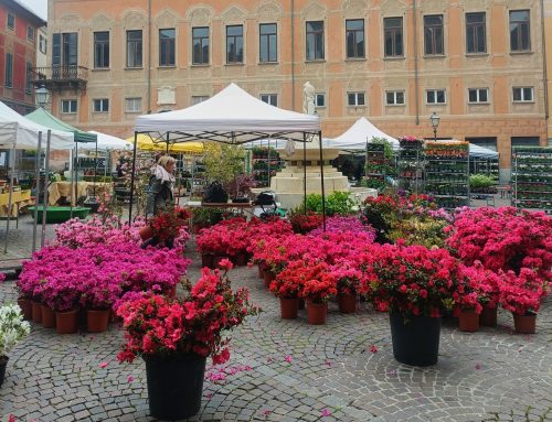 Festa di Primavera: a Novi 18 e 19 aprile prima edizione dell’evento erede di Novinfiore