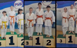 karate il tempio polisportiva stazzanese