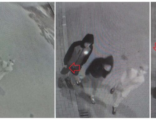 Colpi di pistola esplosi contro Comune e scuole di Stazzano: arrestato un ragazzo e denunciati altri due