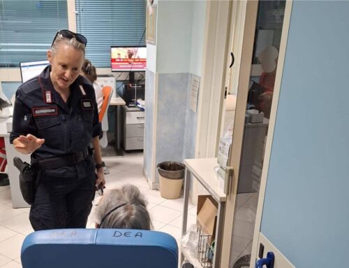 Anziana si perde tra i boschi sopra Serravalle: soccorsa la mattina dopo dai Carabinieri