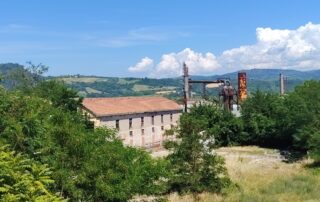 ex ecolibarna