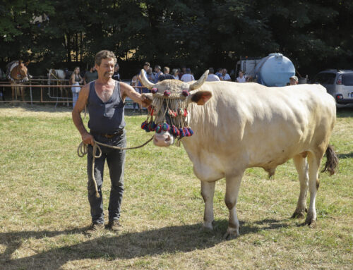 La Fiera del Bestiame di Bosio si farà: era a rischio boicottaggio da parte degli allevatori