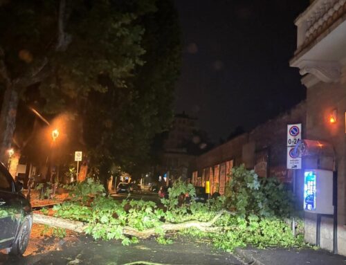 Alberi caduti, sottopassi allagati, grandine e fulmini: tanti interventi dei Vigili del Fuoco a Novi