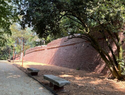Il Parco Castello di Novi riapre ufficialmente sabato 11 luglio