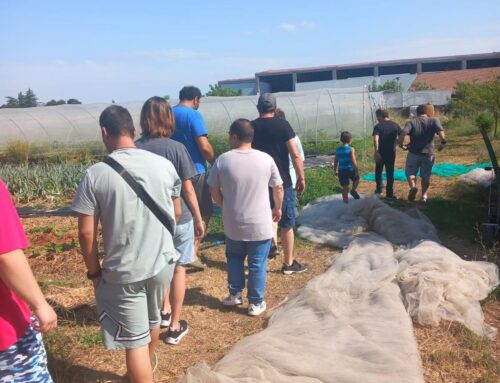 For.Al Novi: gli studenti del corso di manutenzione del verde all’azienda agricola Rapa Bendata