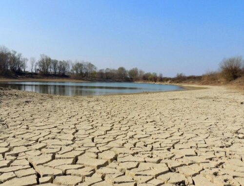 La Regione Piemonte dichiara stato di emergenza per crisi idrica: convocato tavolo permanente