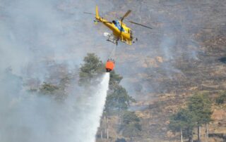 incendi boschivi piemonte
