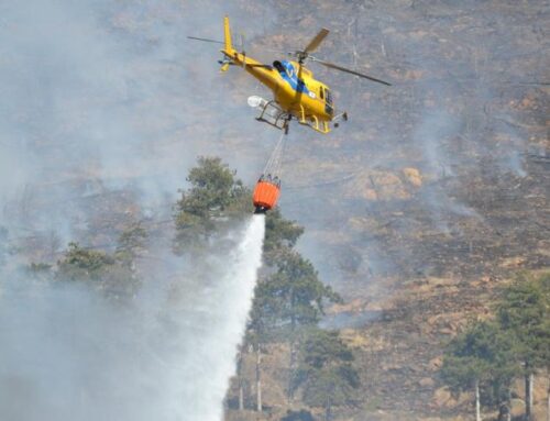Dall’8 luglio in Piemonte stato di massima pericolosità per incendi boschivi