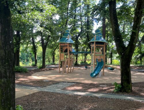 Sabato mattina la camminata organizzata da CamminaNovi per la riapertura del Parco Castello