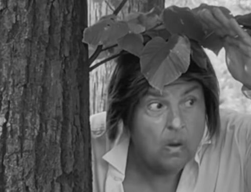 Claudio Lauretta risalta il Parco Castello con un video alla Sandra e Raimondo