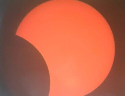 La magia dell’eclissi di sole al Parco Castello di Novi