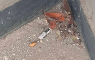 foto degrado cimitero urbano via nino bixio (2)