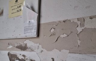 foto degrado cimitero urbano via nino bixio (3)