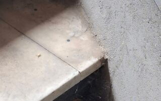 foto degrado cimitero urbano via nino bixio (5)