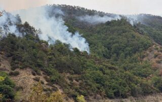 foto dell'incendio Mornese