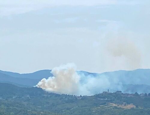 L’incendio di Mornese torna a fare paura: il vento riaccende le fiamme, canadair in azione