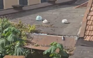 rifiuti volanti tetti autorimesse Comune Novi