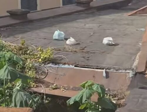Rifiuti volanti sui tetti delle autorimesse del Comune, il consigliere comunale FI Poletto: “Mettere una telecamera e multare”