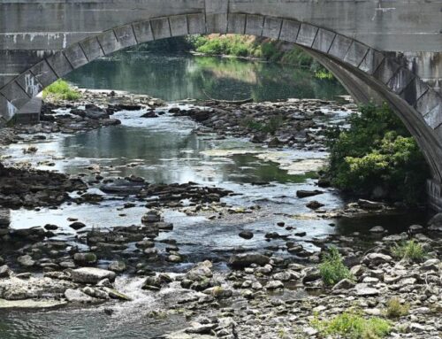 Siccità, più acqua dalla Svizzera e ristori ai Comuni. In Piemonte nella prima decade di agosto portate dei fiumi al -83% rispetto ai valori storici