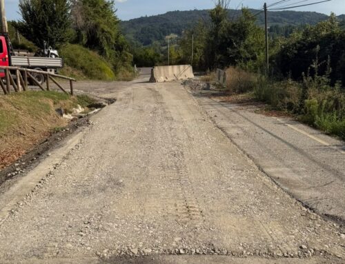La strada provinciale 158 della Lomellina riapre temporaneamente per la vendemmia