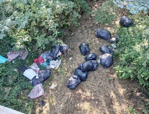«Una discarica a cielo aperto»: nuova segnalazione per rifiuti abbandonati tra Novi e Tassarolo