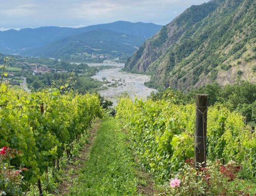 Costa Merlassino porta la Val Borbera al Salone del Gusto tra Timorasso e biodiversità
