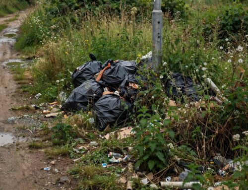 Novi, 1000 euro di multa per abbandono rifiuti: individuato il responsabile
